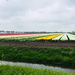 B&B Amsterdam Old Holland