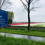 Amsterdam Old Holland B&B *