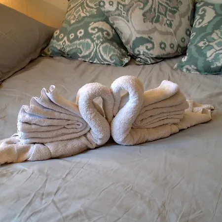 Amsterdam Old Holland Purmerend