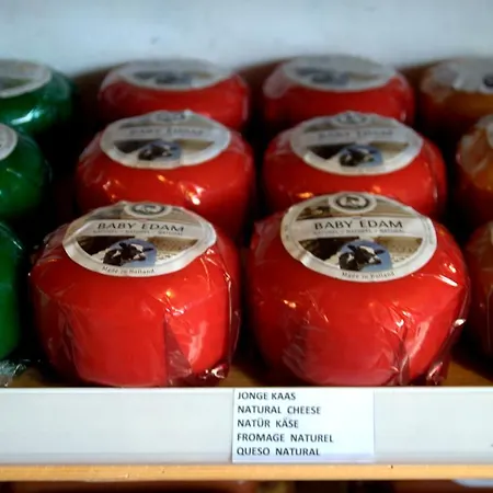 Amsterdam Old Holland