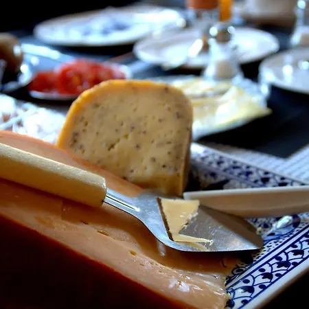 Bed & Breakfast Amsterdam Old Holland *