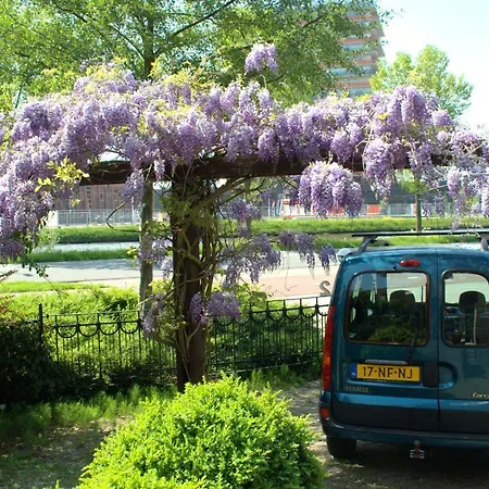 Amsterdam Old Holland Purmerend