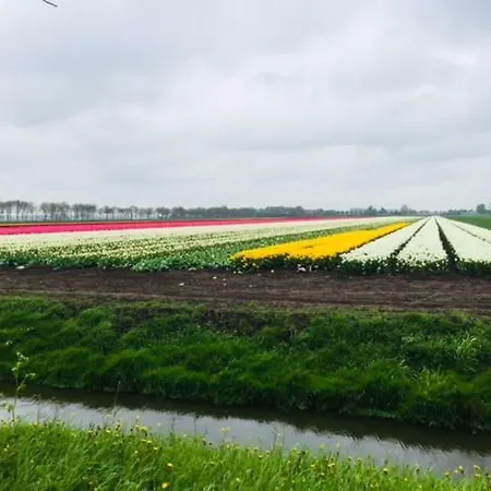 Bed & Breakfast Amsterdam Old Holland