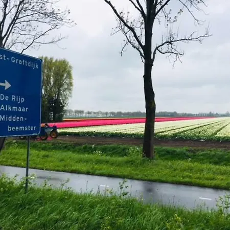 Amsterdam Old Holland Bed & Breakfast *