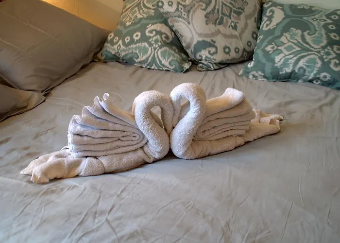 Amsterdam Old Holland Purmerend