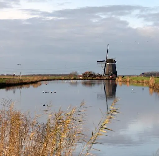 Amsterdam Old Holland Bed & Breakfast