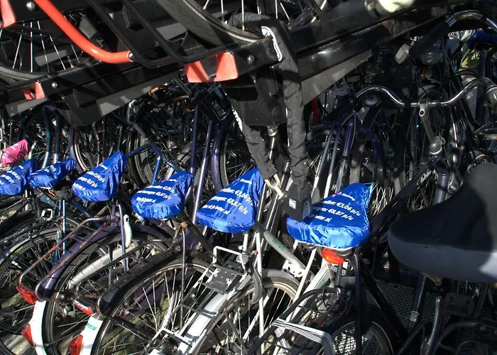 Amsterdam Old Holland * Purmerend