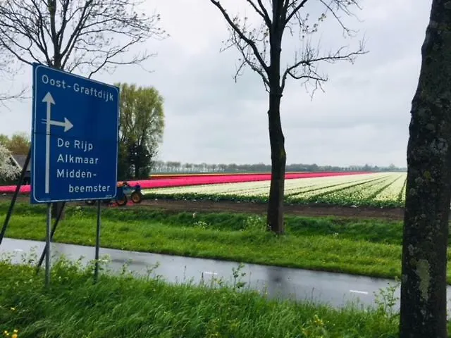 Amsterdam Old Holland Bed & Breakfast *