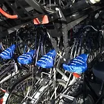 Amsterdam Old Holland * Purmerend