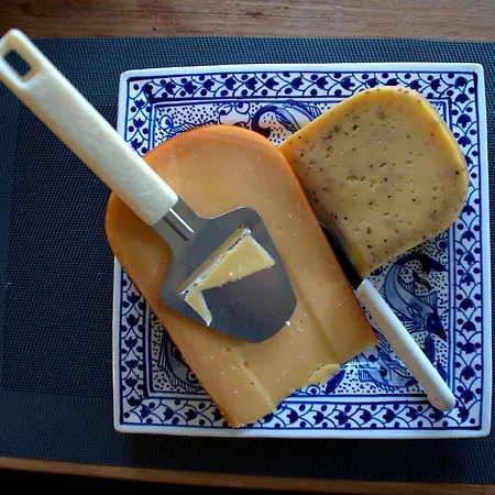 Amsterdam Old Holland *